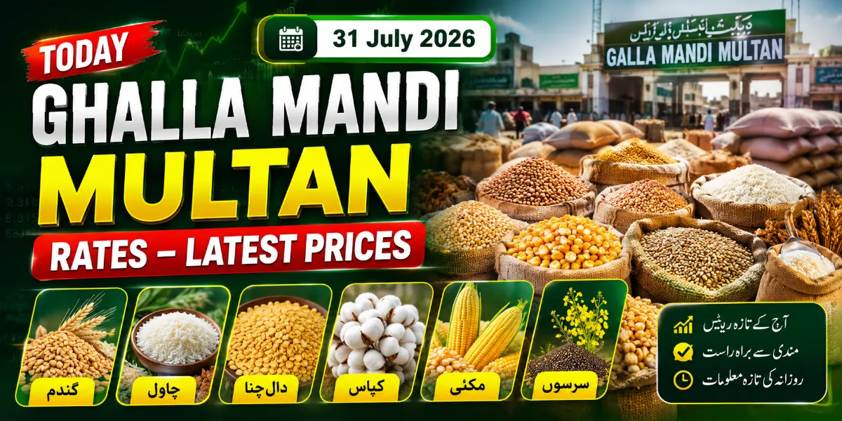 Today Ghalla Mandi Multan Rates – Latest Prices ...