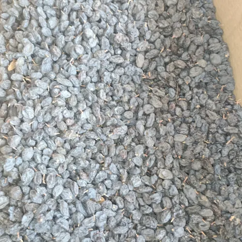 Kismish black  - Product Image