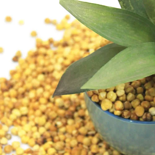 Channa Magaz    - Product Image