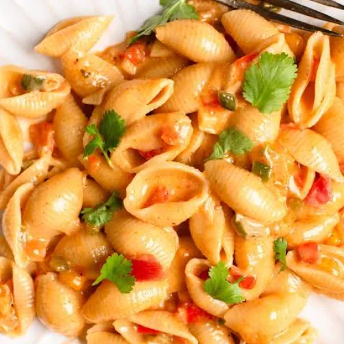 Macroni shell - Product Image